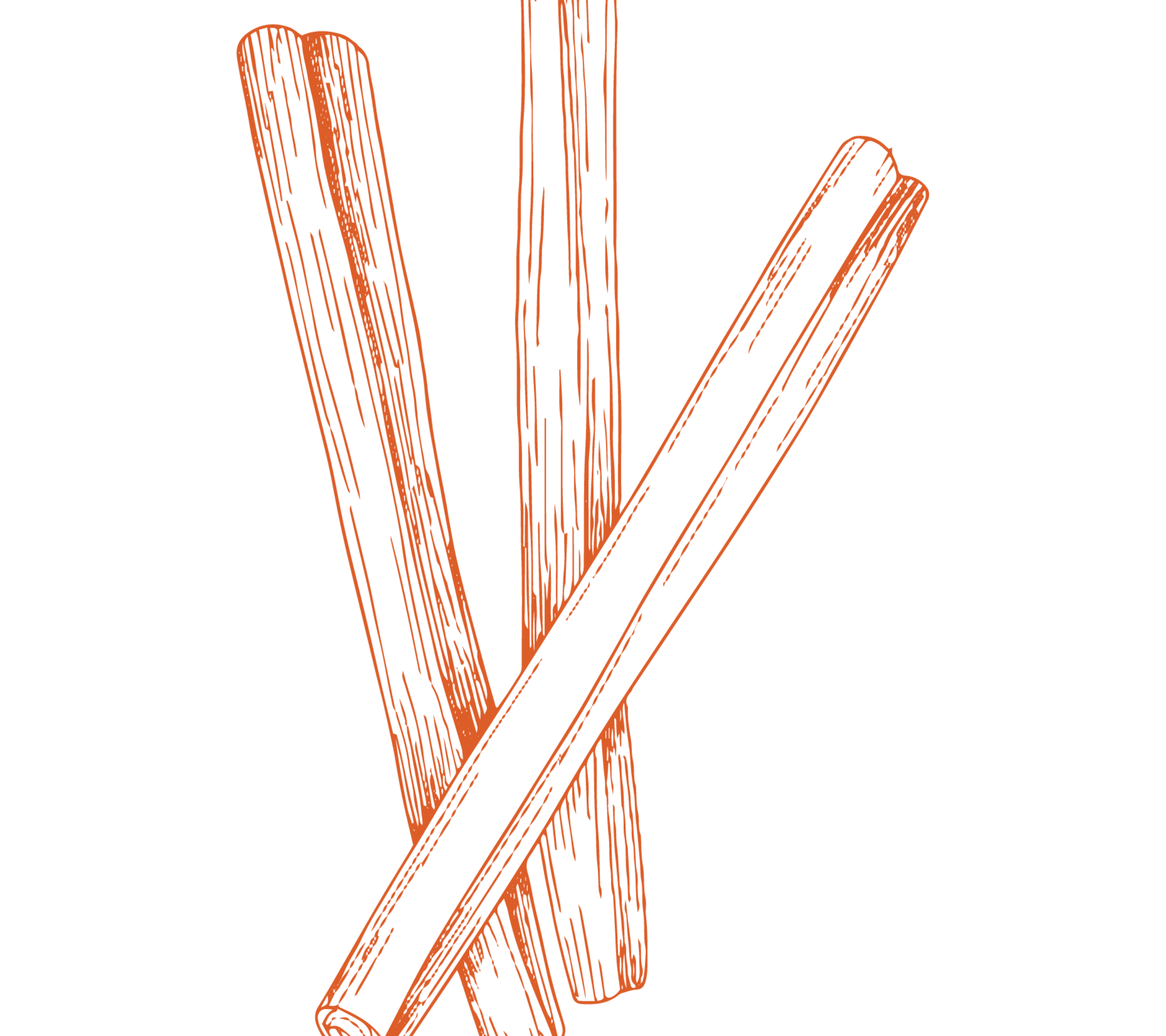 Organic Cinnamon (Tij)