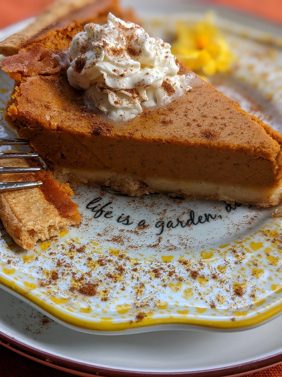 chai spiced pumpkin pie. Image courtesy of Cindy Pixabay